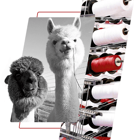 Fio de poliéster tingido